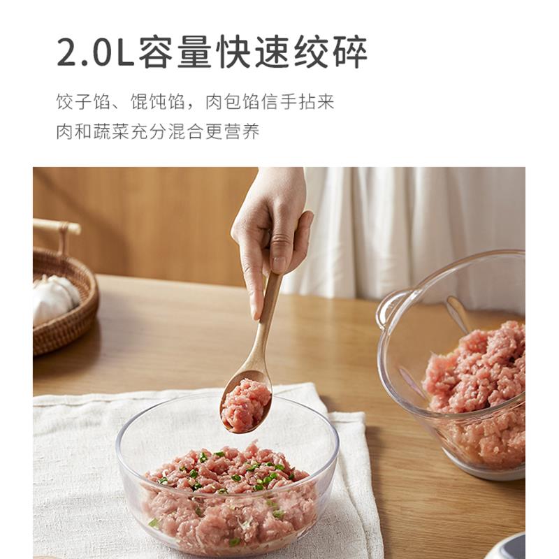 2L 家用电动多功能小型绞肉机【2副刀头】