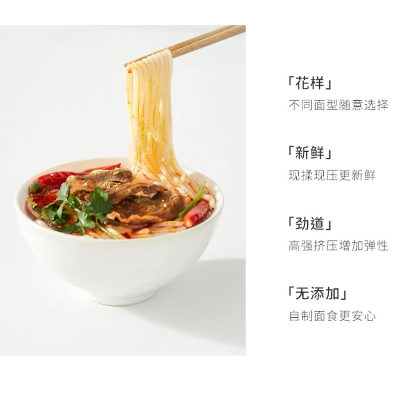 家用电动 小型手持面条机