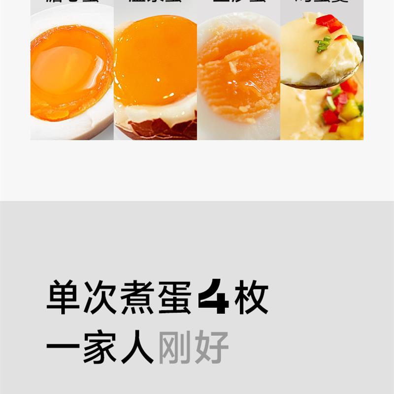 可预约定时电动智能煮蛋器