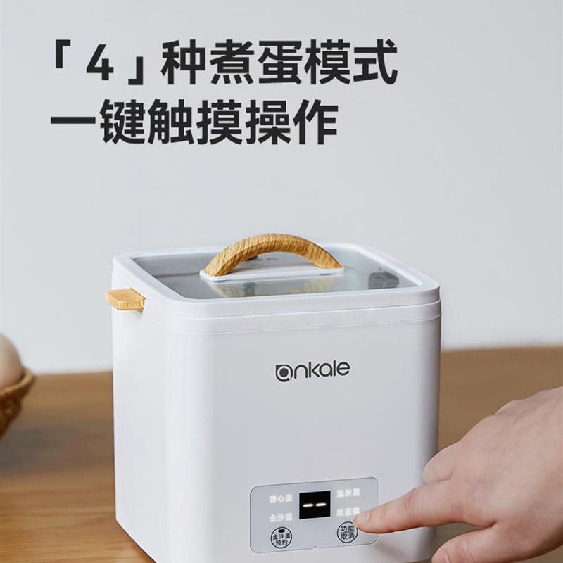 可预约定时电动智能煮蛋器