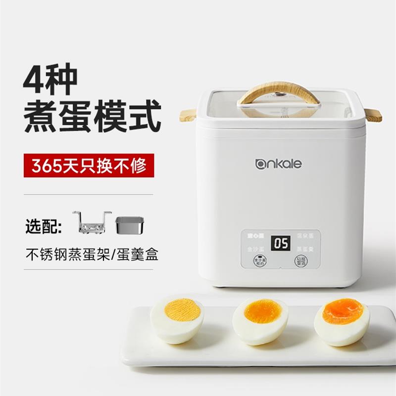 可预约定时电动智能煮蛋器